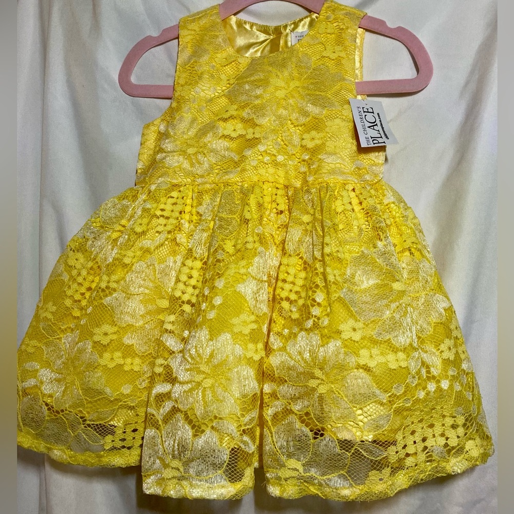 Baby Girls Lace Fit And Flare Dress